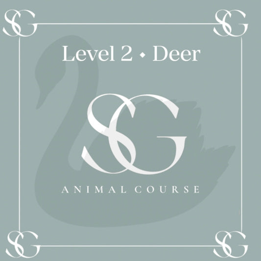 Swan, Deer & Horse Painting Course (ENGLISH)