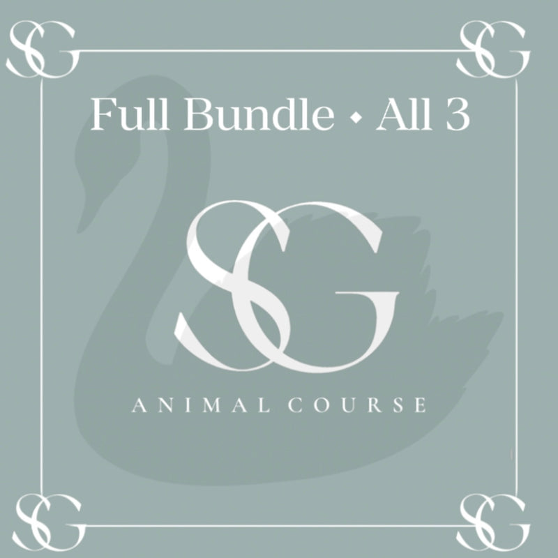 Swan, Deer & Horse Painting Course (ENGLISH)