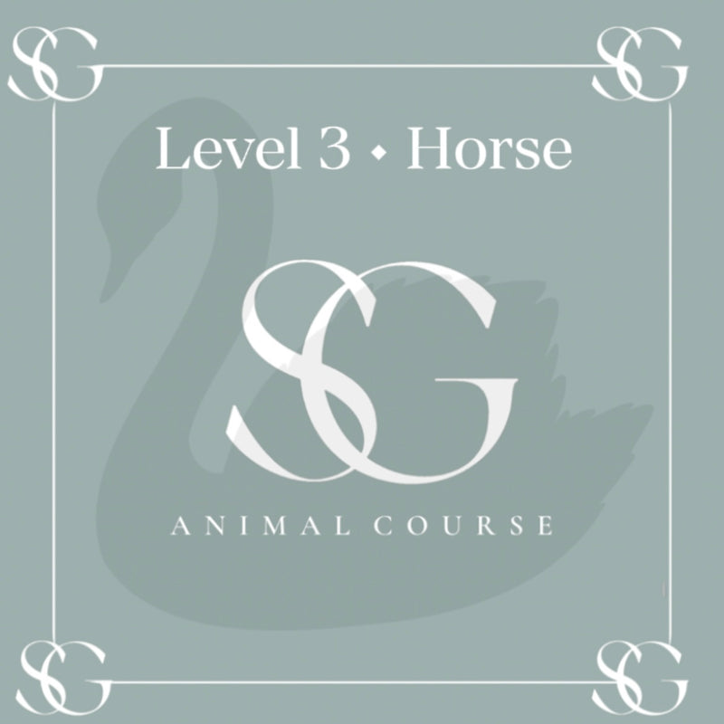 Swan, Deer & Horse Painting Course (ENGLISH)