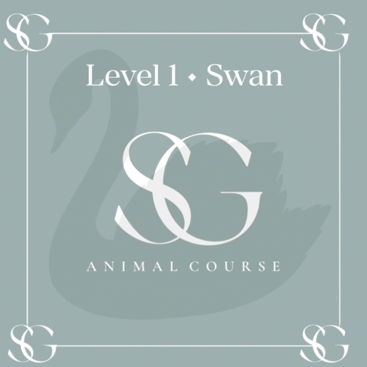 Swan, Deer & Horse Painting Course (ENGLISH)